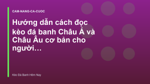 Read more about the article Hướng dẫn cách đọc kèo đá banh Châu Á và Châu Âu cơ bản cho người mới