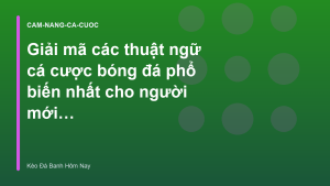 Read more about the article Giải mã các thuật ngữ cá cược bóng đá phổ biến nhất cho người mới bắt đầu