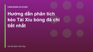 Read more about the article Hướng dẫn phân tích kèo Tài Xỉu bóng đá chi tiết nhất
